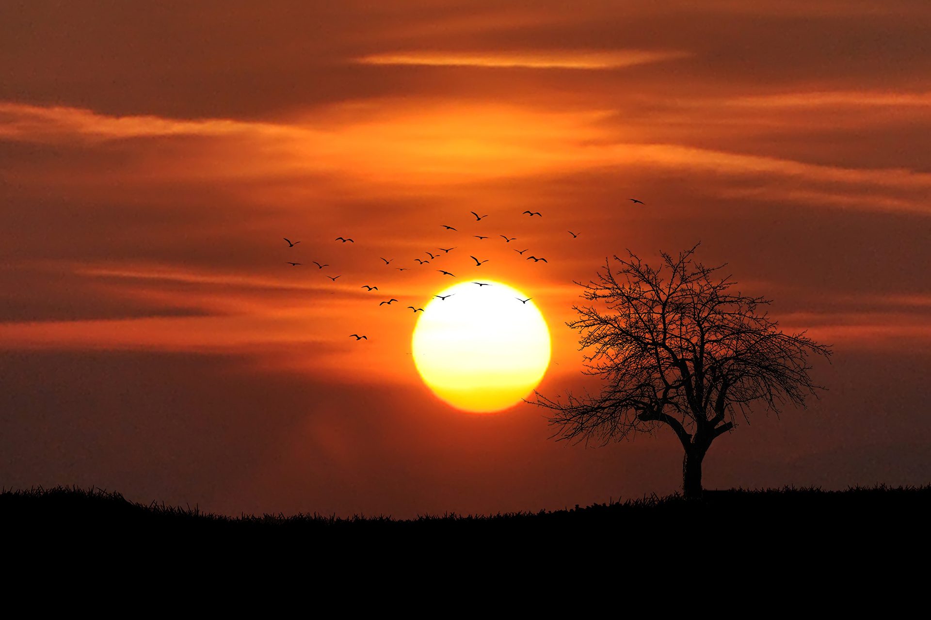 african safari sunset